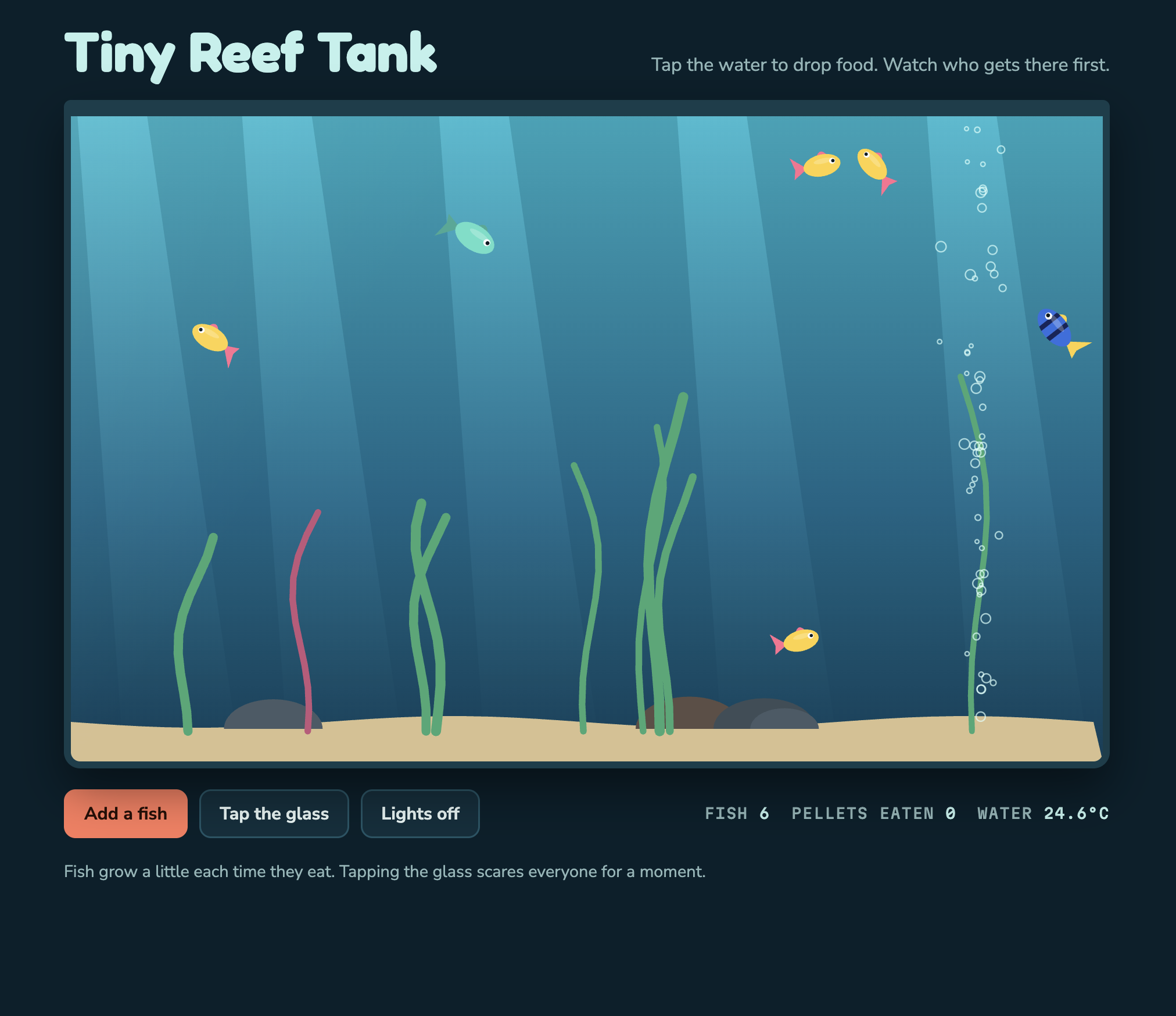 Tiny Reef Tank - image 1