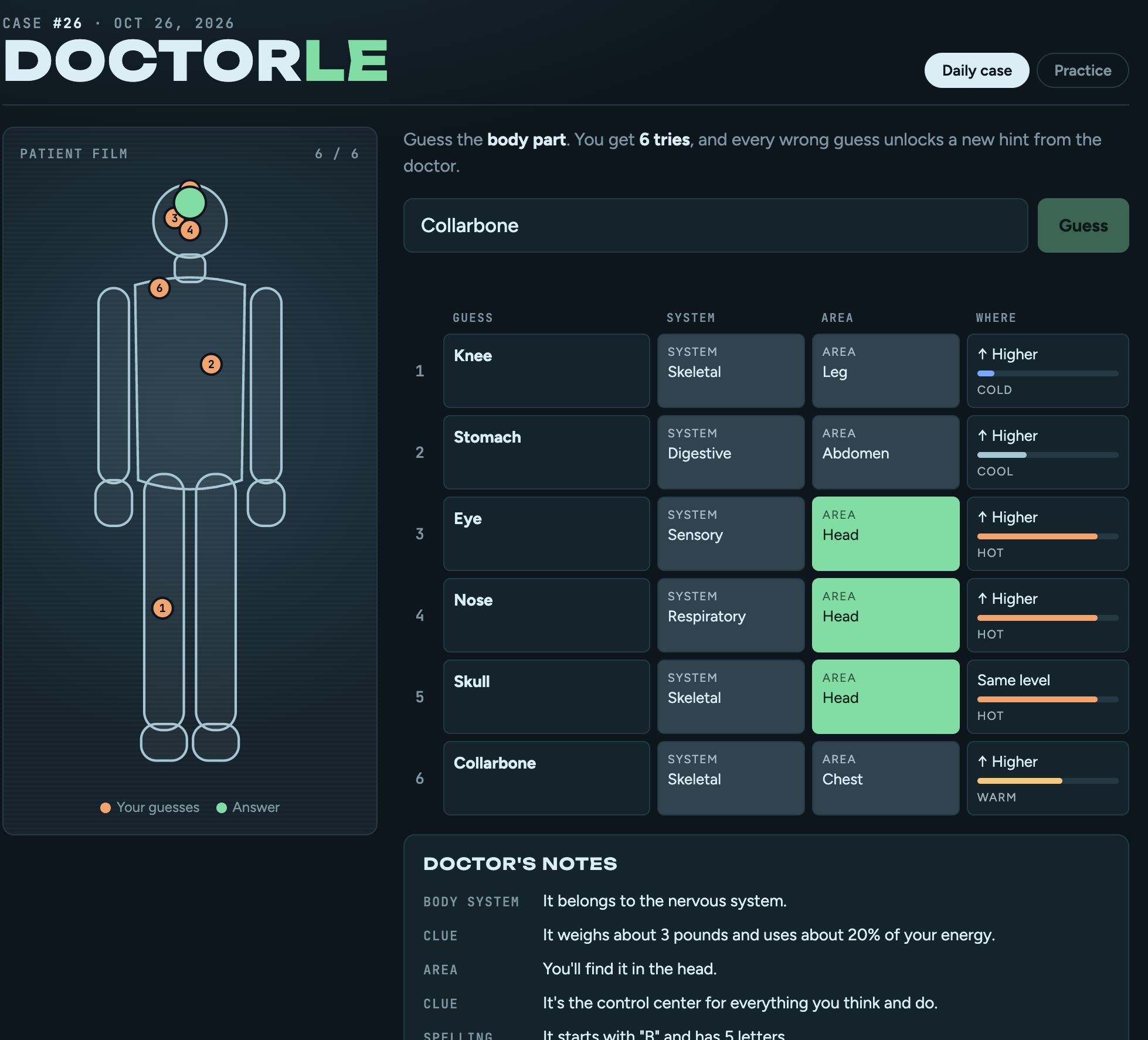 Doctorle